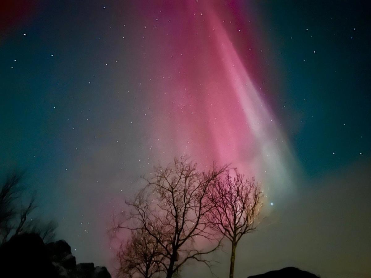 Lofoten Glampingdome Myrland Exteriér fotografie