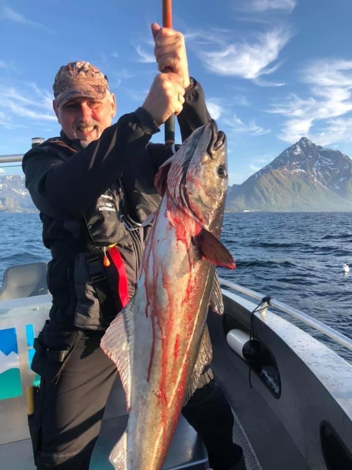 Lofoten Glampingdome Myrland Exteriér fotografie