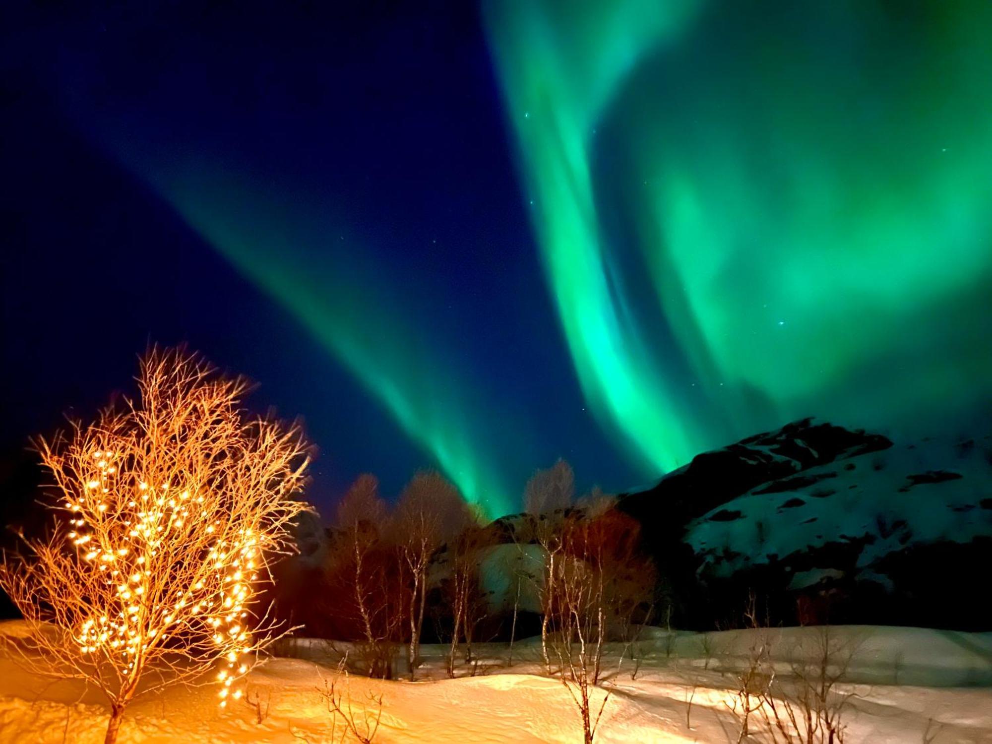 Lofoten Glampingdome Myrland Exteriér fotografie
