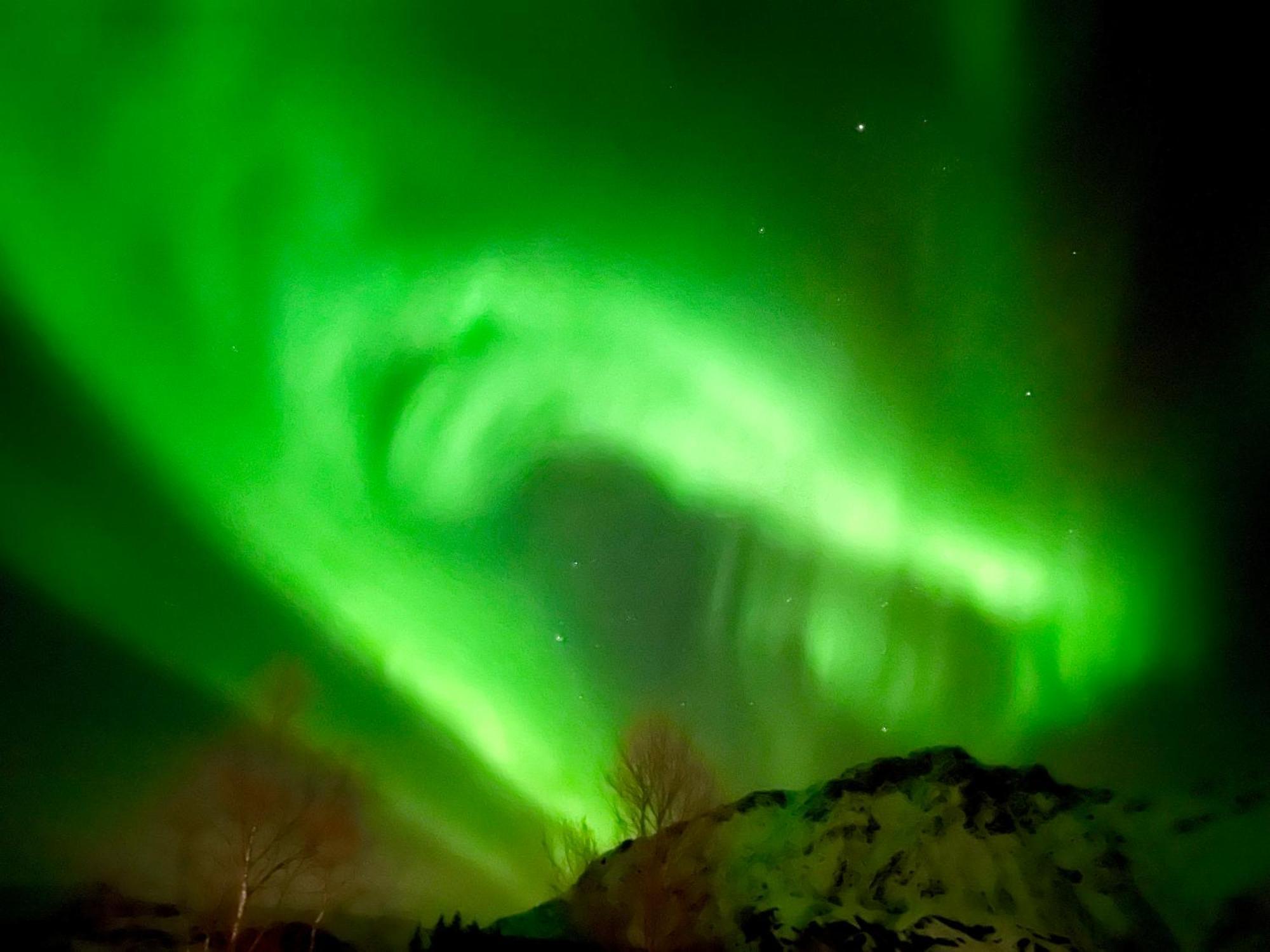 Lofoten Glampingdome Myrland Exteriér fotografie