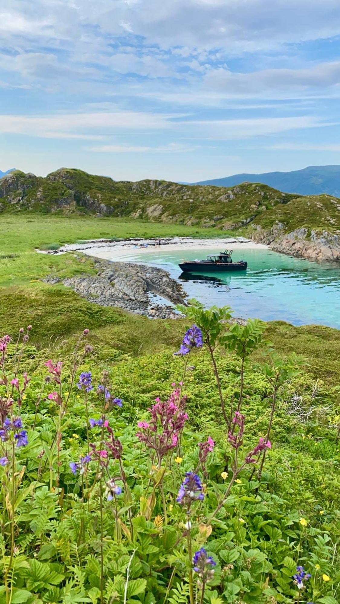 Lofoten Glampingdome Myrland Exteriér fotografie